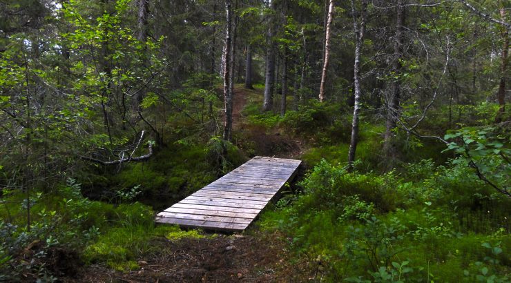 Århaugen – Torvmyra