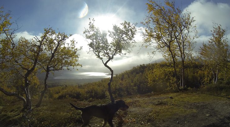 GoPro Hero 3