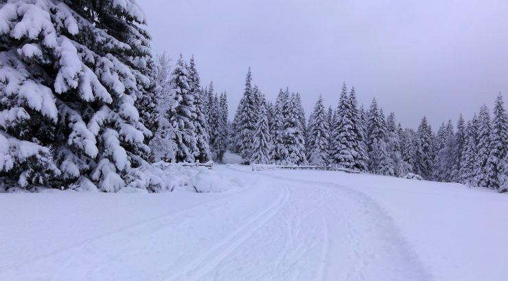 Teknikk og trening