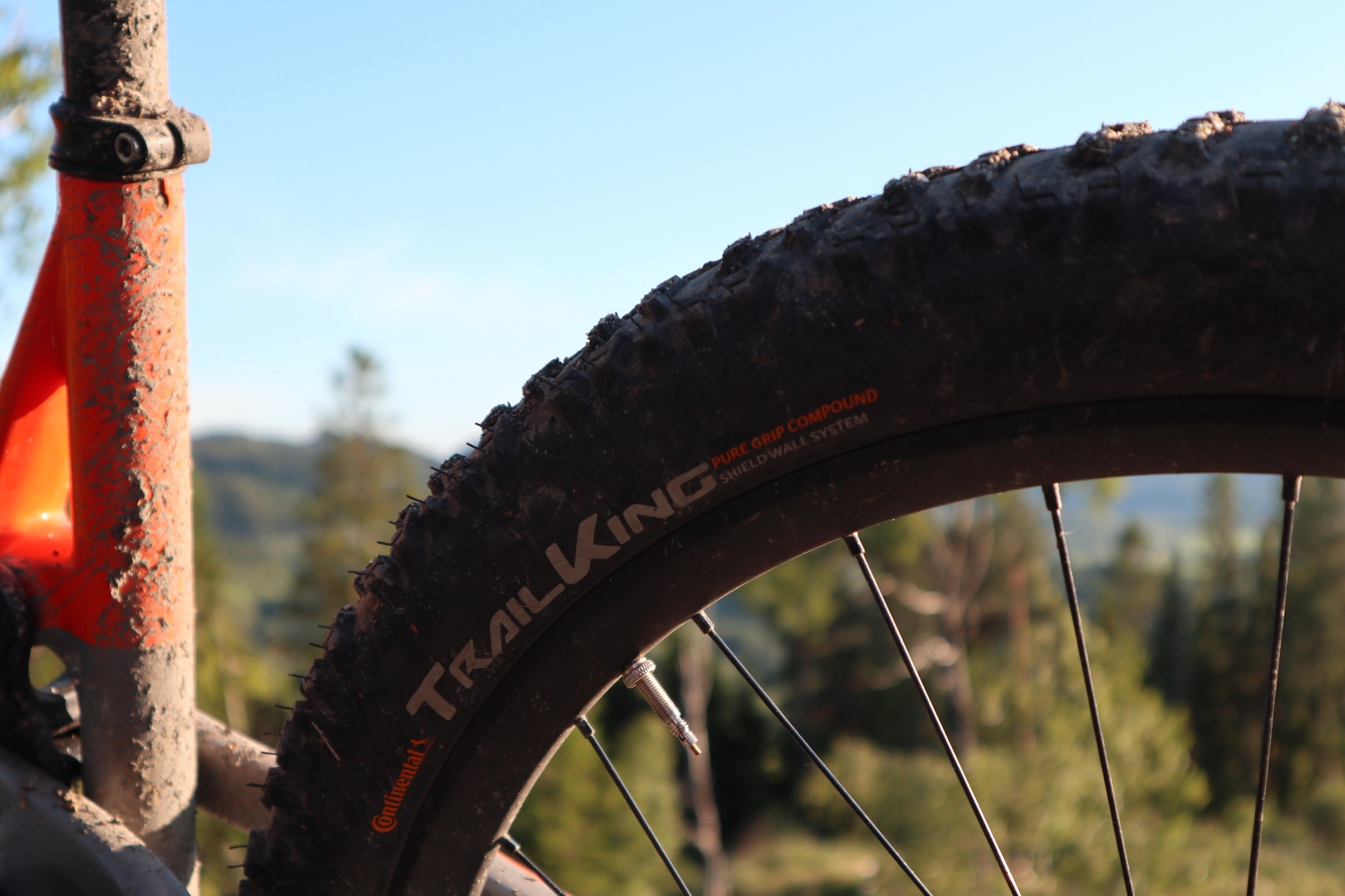 continental trail king 2.4 review